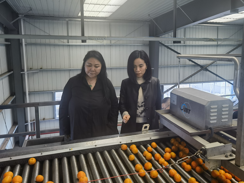 1679909578991705.png 圖片6.png