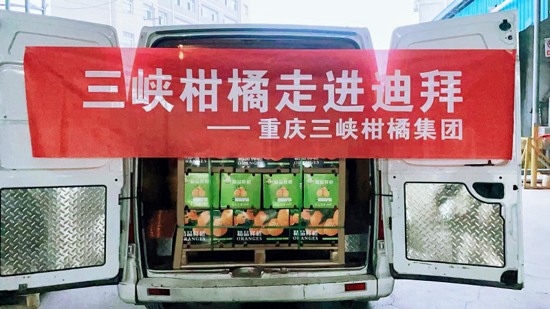 1710494410803023.png 圖片10.png