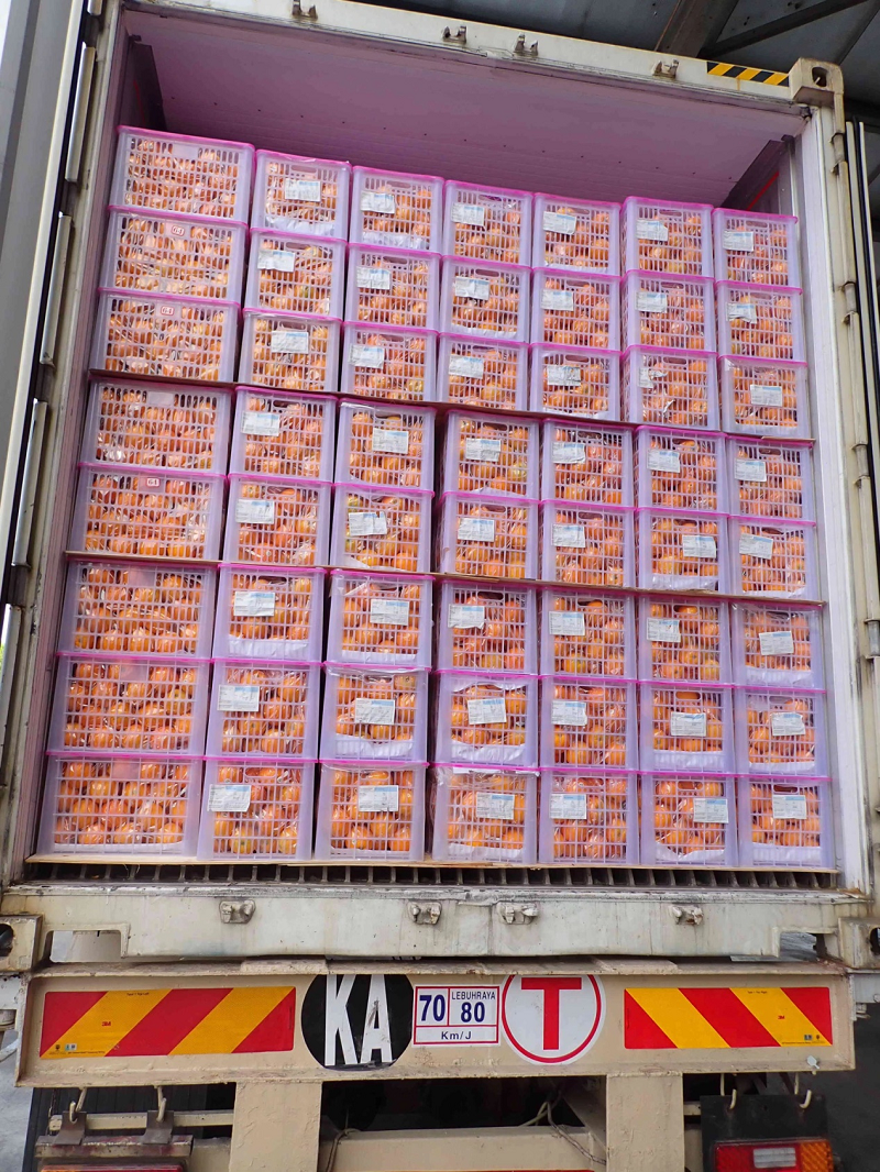 1717465350890401.png 圖片26.png